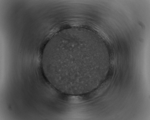 X0000116790277200912311923