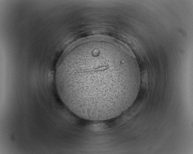 X0000116790278200912311923