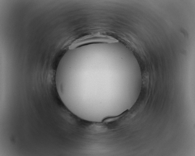 X0000116790280200912311923