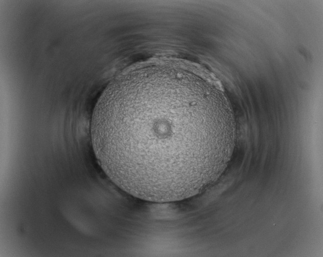 X0000116790281200912311923