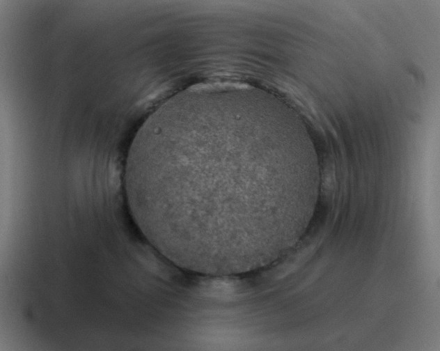 X0000116790282200912311923