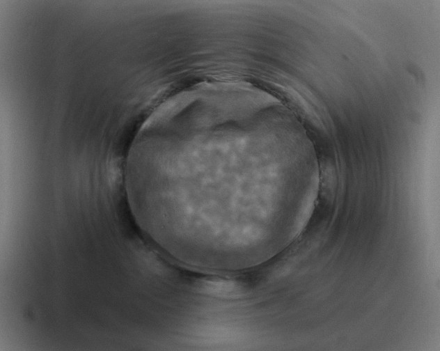 X0000116790284200912311923