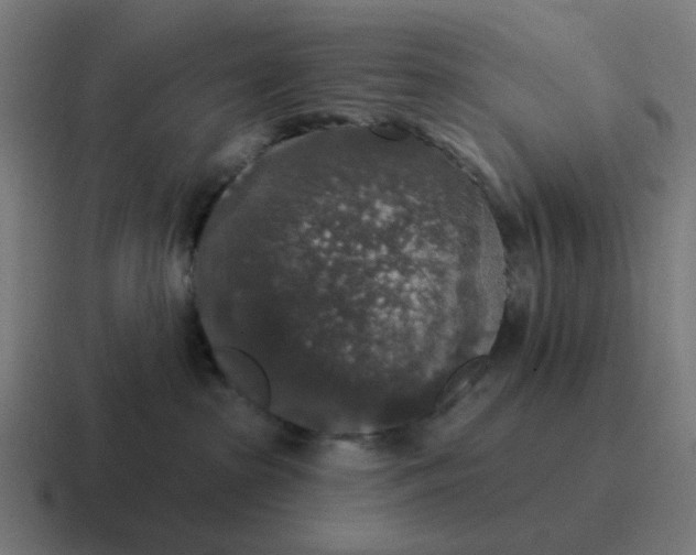 X0000116790285200912311923