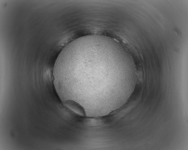 X0000116790286200912311923