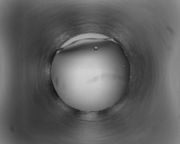 X0000116790288200912311923