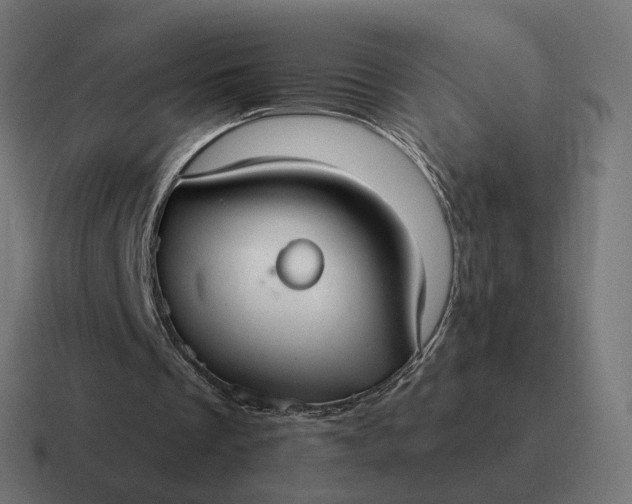 X0000116790289200912311922