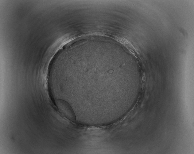 X0000116790290200912311922