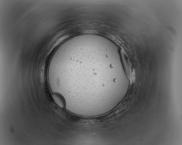 X0000116790291200912311922