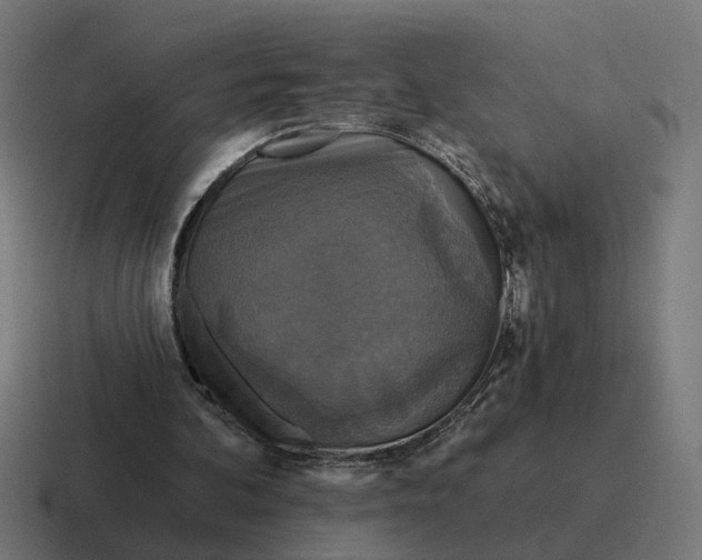 X0000116790292200912311922