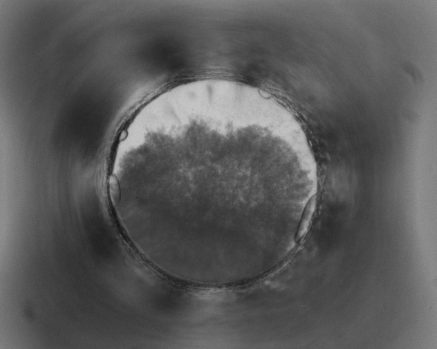 X0000116790293200912311922