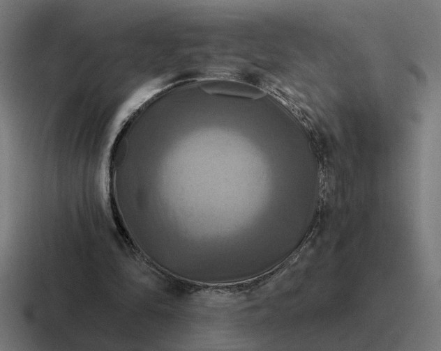 X0000116790294200912311922