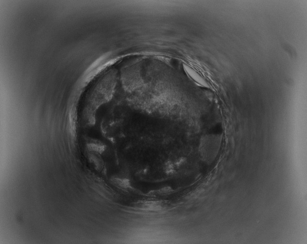 X0000116790295200912311922