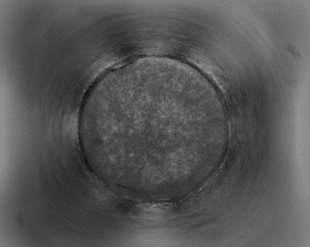 X0000116790297200912311922