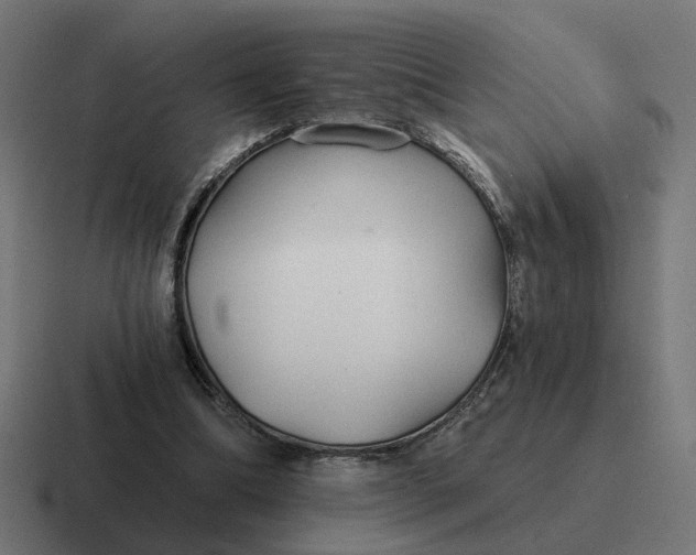 X0000116790298200912311922