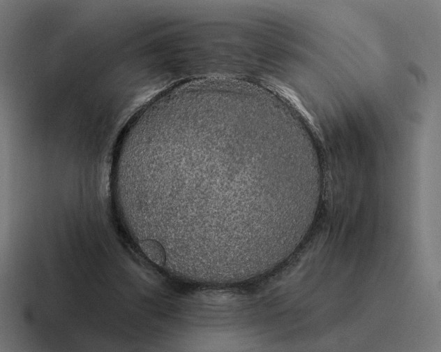 X0000116790299200912311922