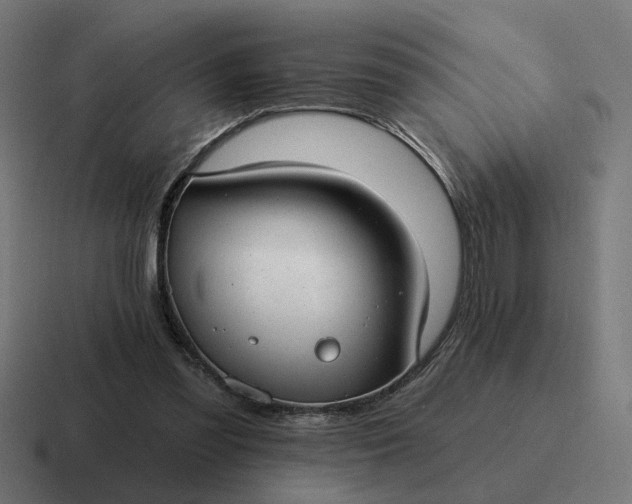 X0000116790301200912311922