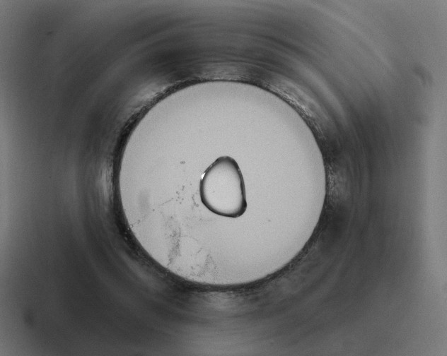 X0000116790302200912311922