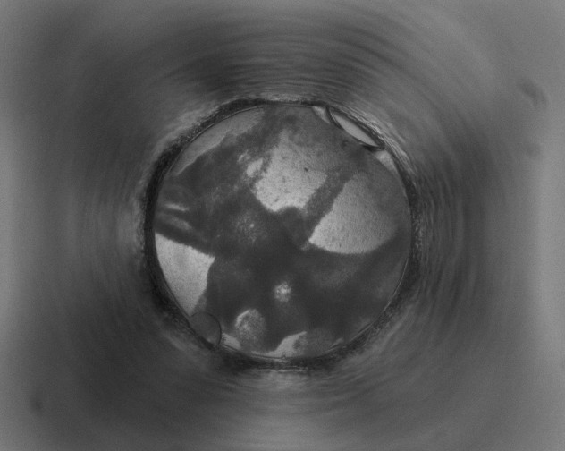 X0000116790303200912311922