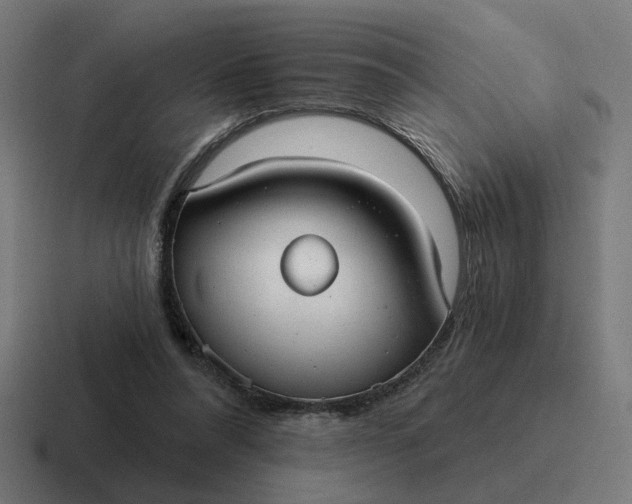 X0000116790304200912311922