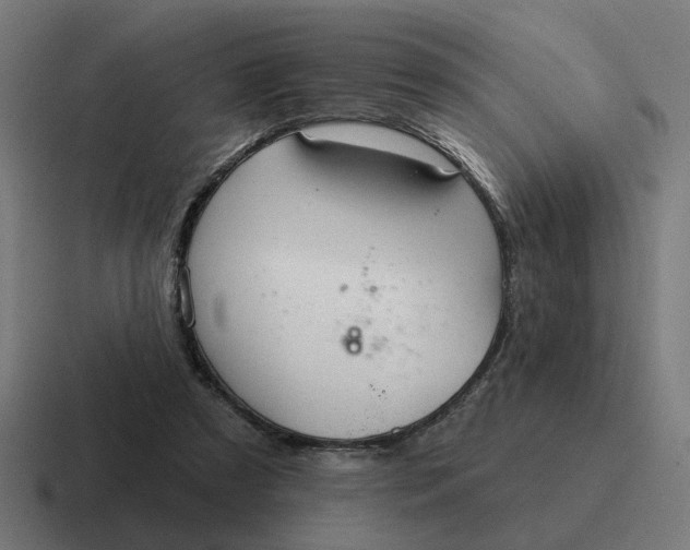 X0000116790305200912311922