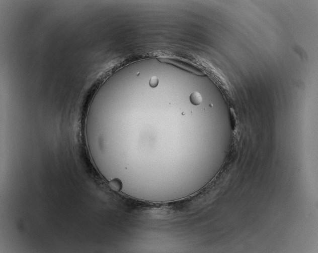 X0000116790306200912311922