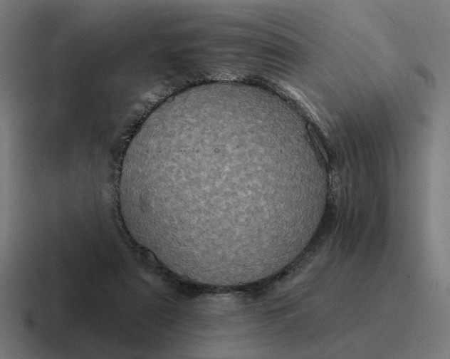 X0000116790307200912311922