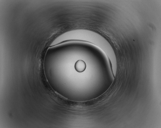 X0000116790308200912311922