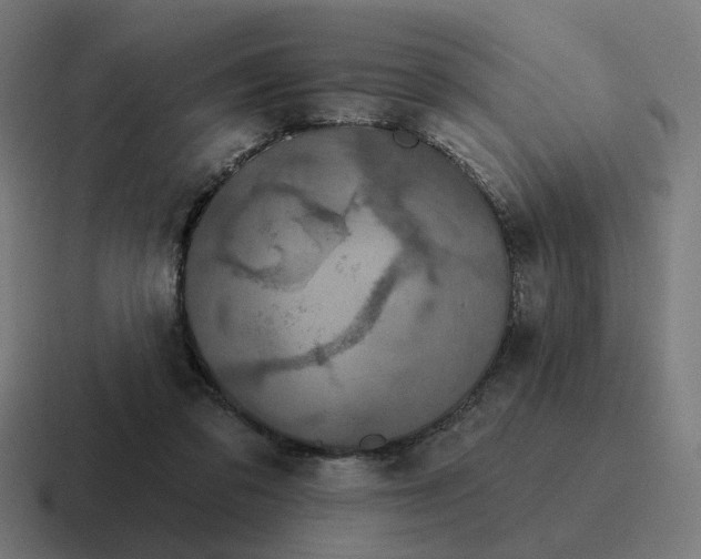 X0000116790309200912311922