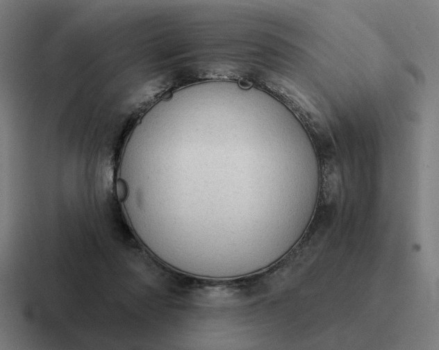 X0000116790310200912311922