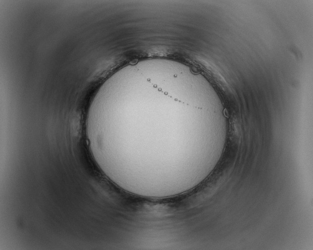 X0000116790311200912311922