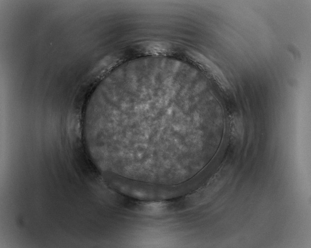 X0000116790313200912311922