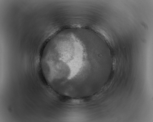 X0000116790314200912311922