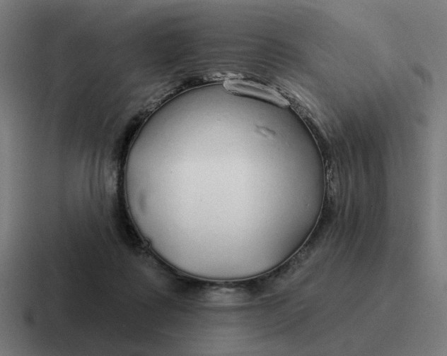 X0000116790315200912311922