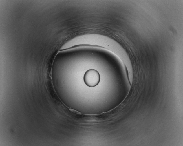 X0000116790316200912311922