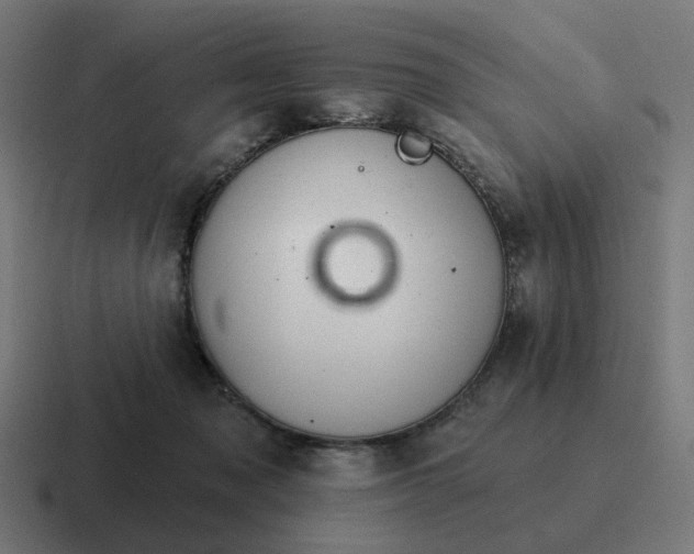 X0000116790317200912311922