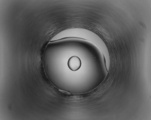 X0000116790320200912311922