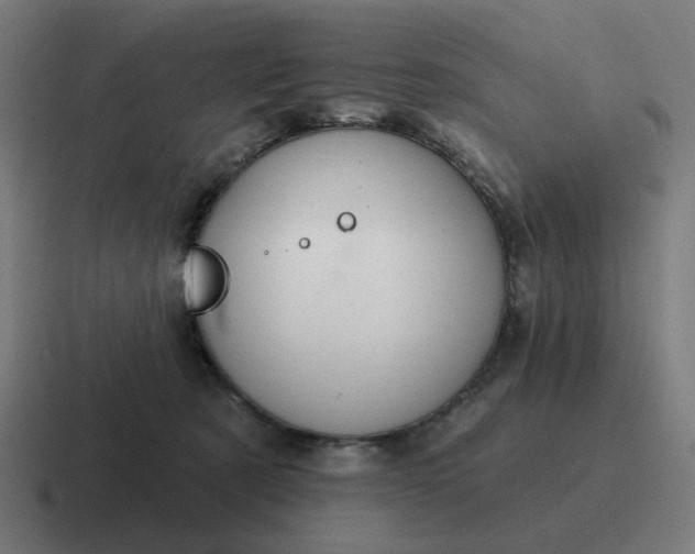 X0000116790321200912311922