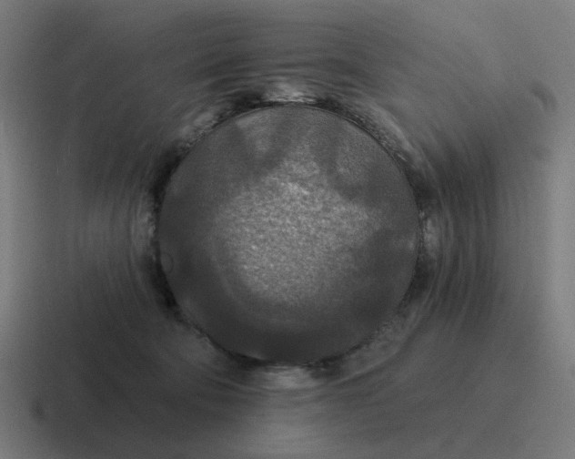 X0000116790322200912311922