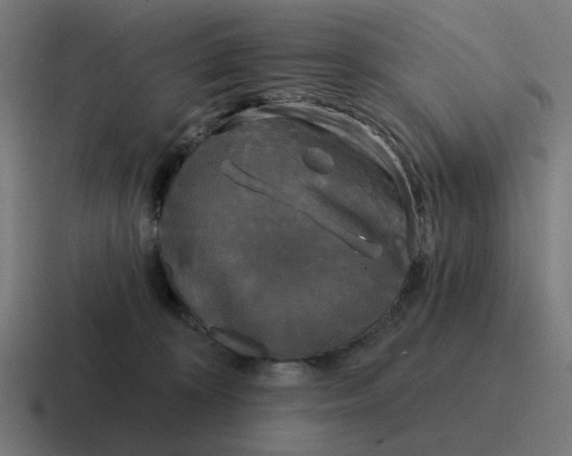 X0000116790324200912311922