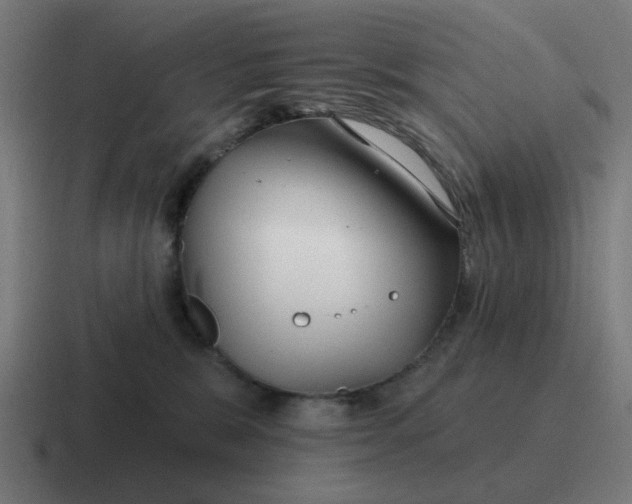 X0000116790327200912311922