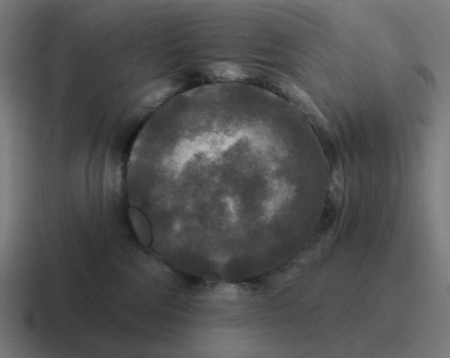 X0000116790330200912311922