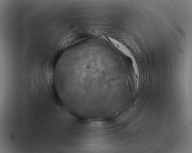 X0000116790332200912311921