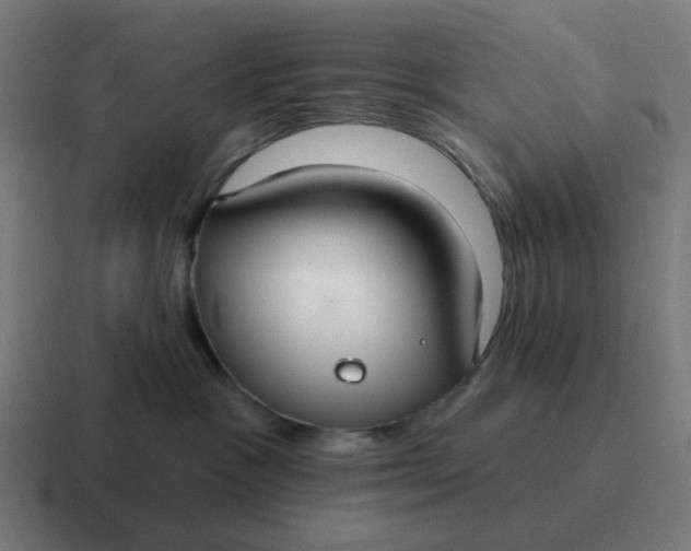 X0000116790333200912311921