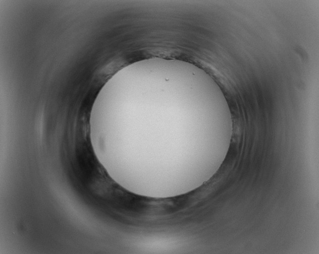 X0000116790334200912311921