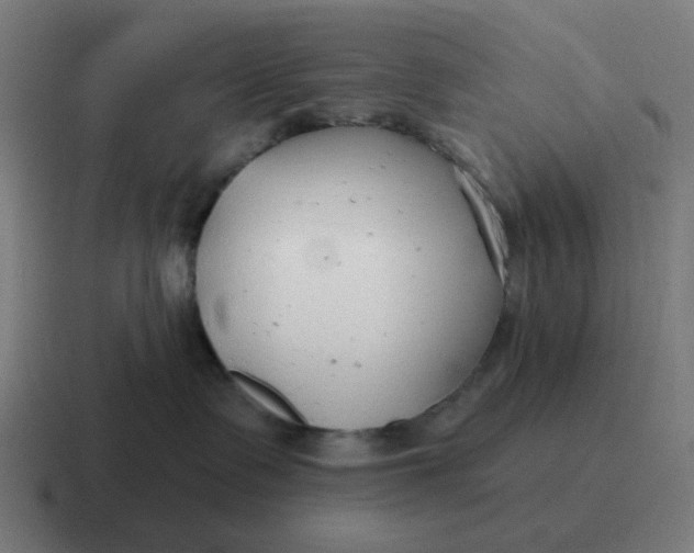 X0000116790335200912311921