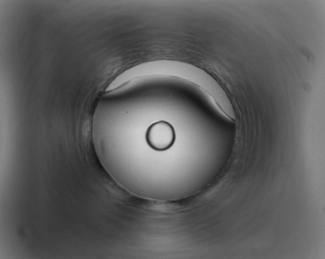 X0000116790336200912311921