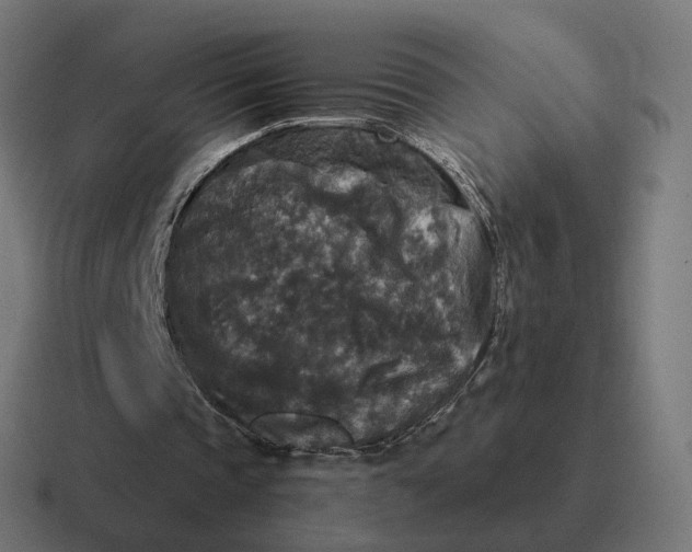 X0000116790337200912311921