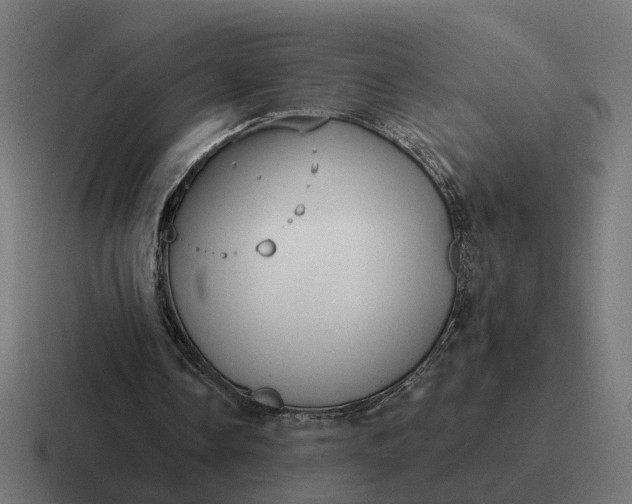 X0000116790338200912311921