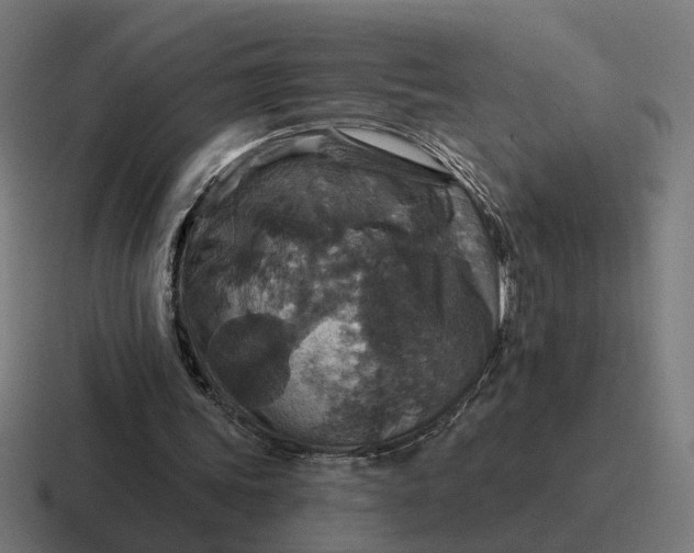 X0000116790339200912311921