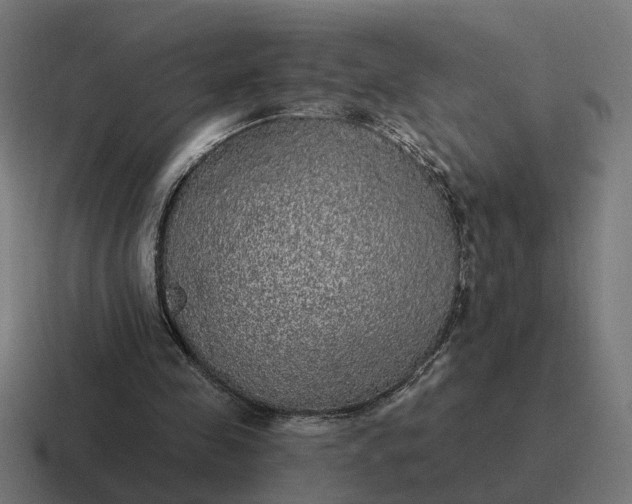 X0000116790341200912311921